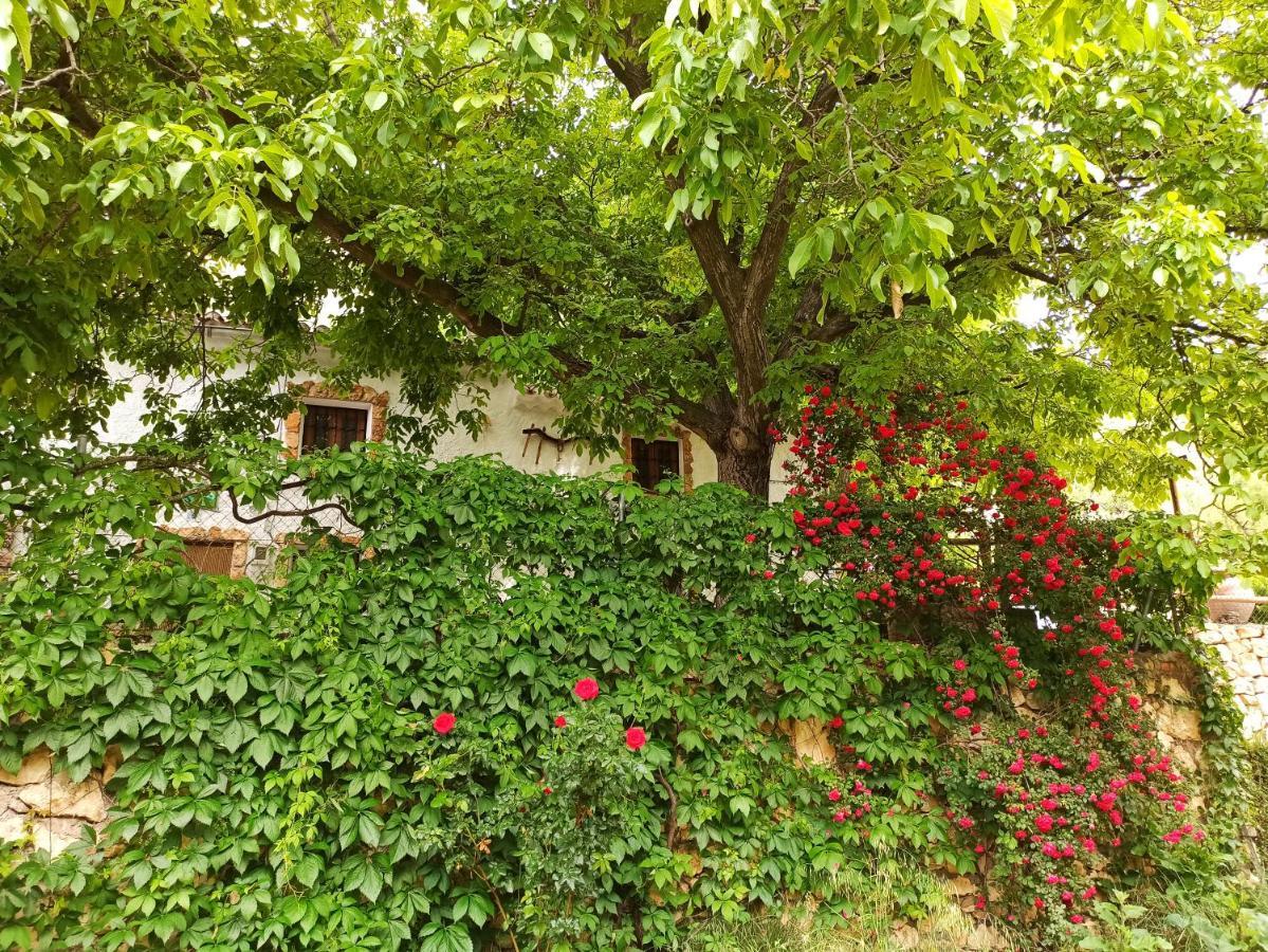 Cortijo Ramon Petra Guest House Нерпио Екстериор снимка